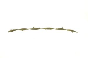 Primary view of object titled '[Allis-Buckthorn Barbed Wire]'.