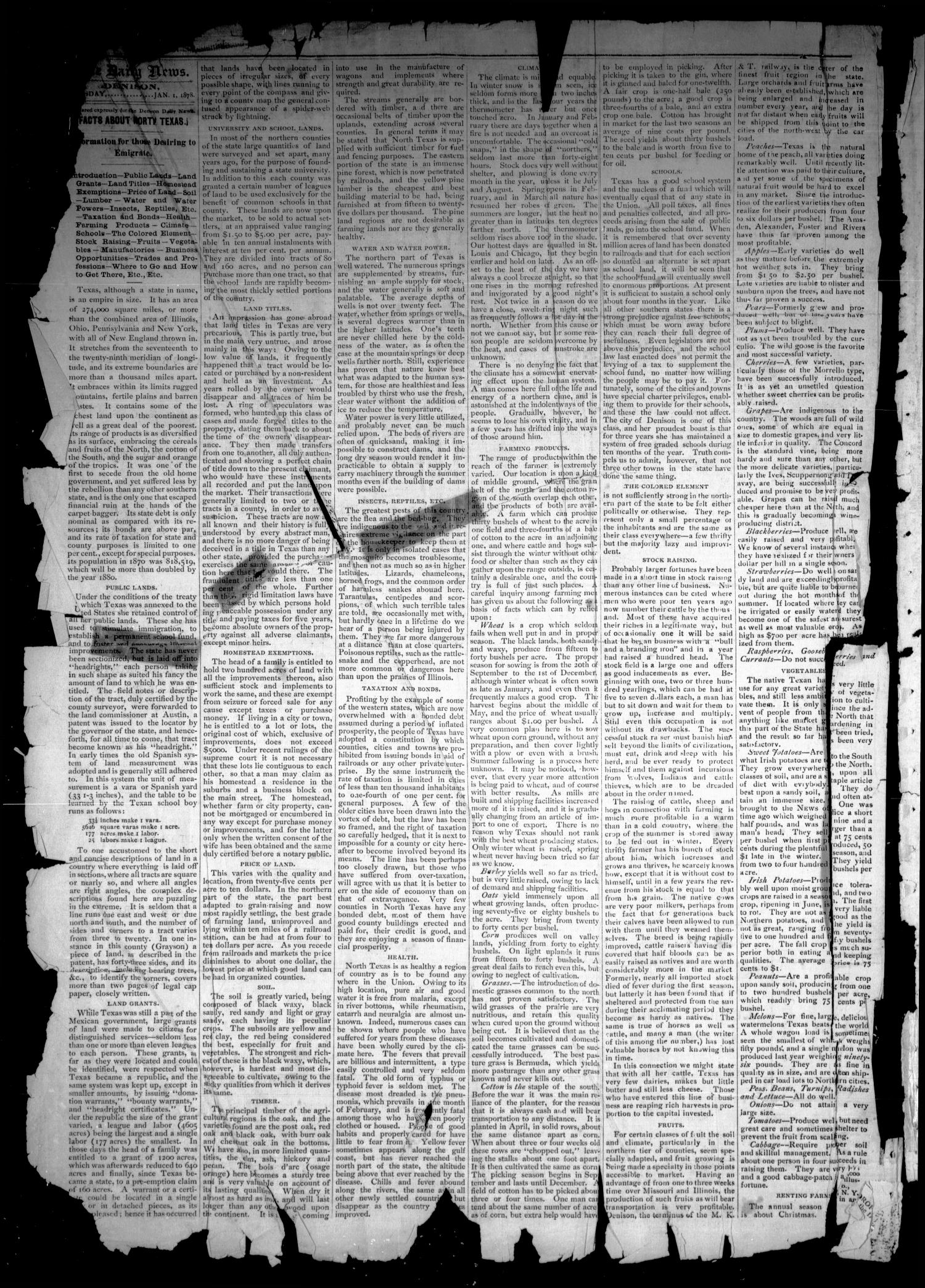Denison Daily News. (Denison, Tex.), Vol. 5, No. 259, Ed. 1 Tuesday, January 1, 1878
                                                
                                                    [Sequence #]: 2 of 4
                                                