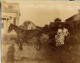 Thumbnail image of item number 1 in: 'Agnes Sueppel Schulze in Buggy, c. 1904'.