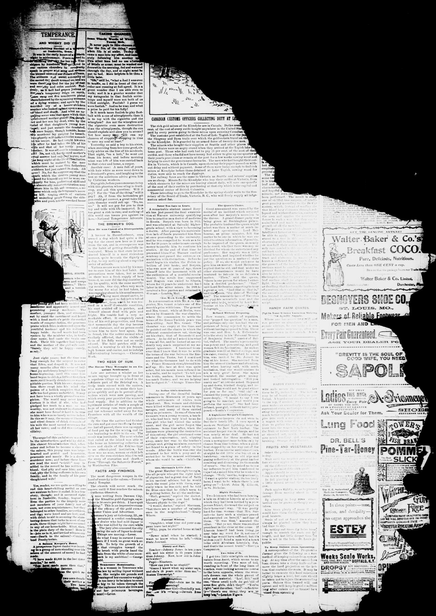 The Taylor County News. (Abilene, Tex.), Vol. 13, No. 47, Ed. 1 Friday, December 31, 1897
                                                
                                                    [Sequence #]: 11 of 12
                                                