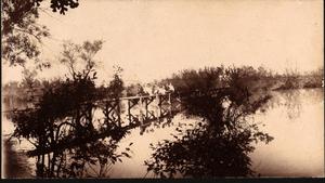 Railroad Survey Crew Poses on Bridge Across Creek, c. 1902