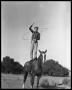 Photograph: Cowboy Rope Tricks