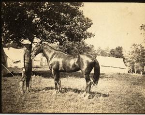 Primary view of object titled 'Man Posing with a Horse at Surveyors' Camp, c. 1902'.