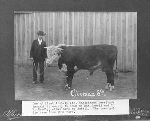Primary view of object titled '[Hereford Bull and Owner]'.