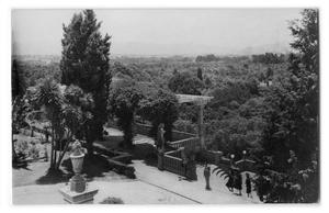 [Postcard of people walking on a terrace overlooking a forest]