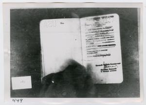[Lee Harvey Oswald's Passport, Photograph #6]