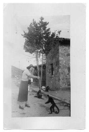 Marie Burkhalter feeds a monkey  playing in the street