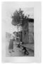 Photograph: Marie Burkhalter feeds a monkey  playing in the street