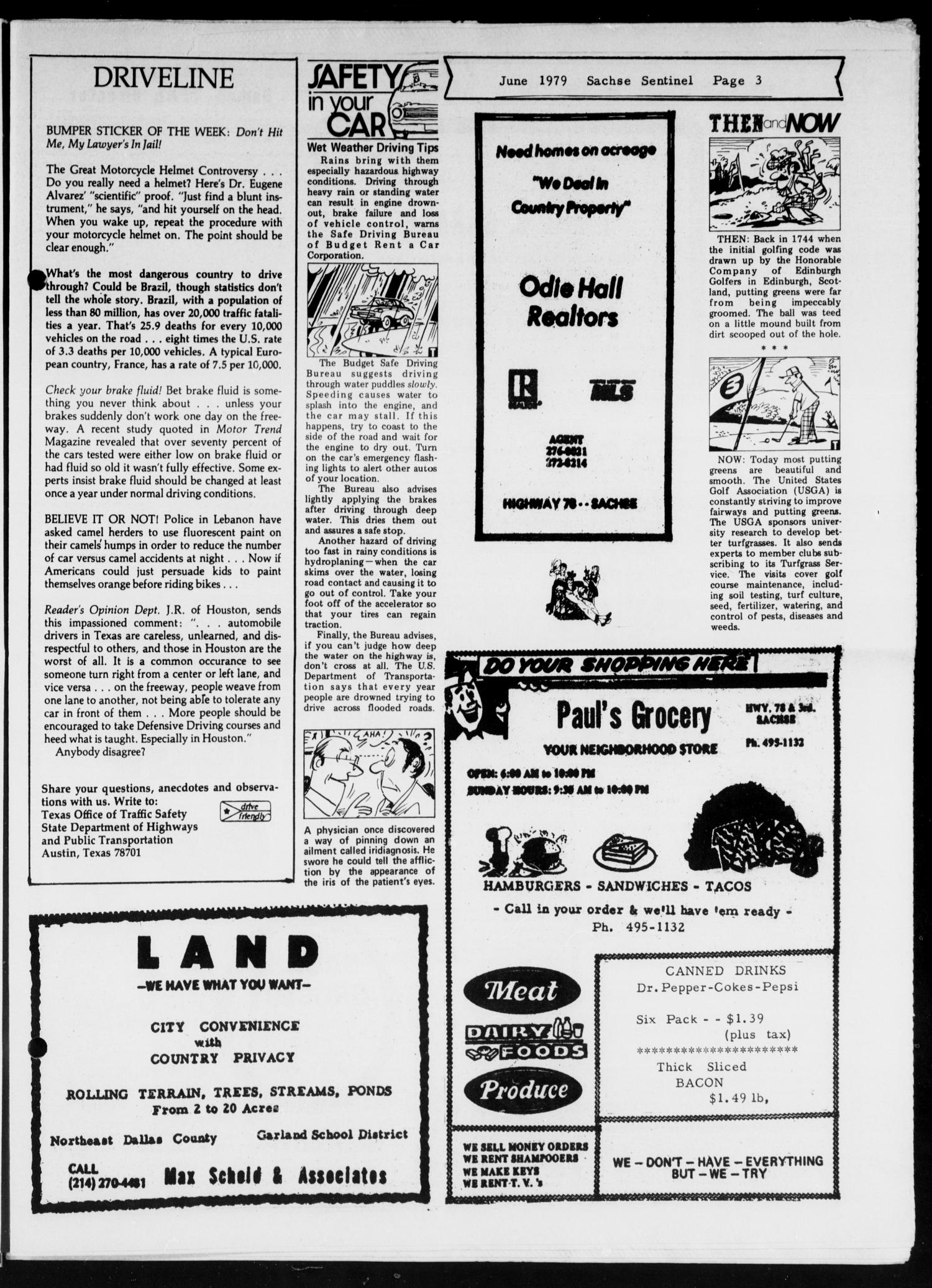 The Sachse Sentinel (Sachse, Tex.), Vol. 4, No. 6, Ed. 1 Friday, June 1, 1979
                                                
                                                    [Sequence #]: 3 of 12
                                                