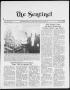 Primary view of The Sentinel (Sachse, Tex.), Vol. 13, No. 50, Ed. 1 Wednesday, December 14, 1988