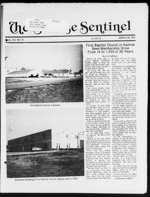 The Sachse Sentinel (Sachse, Tex.), Vol. 16, No. 12, Ed. 1 Wednesday, March 20, 1991