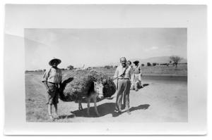 Two men and a mule carrying hay