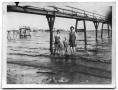 Photograph: [Photograph of Women and Children at the Beach]