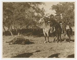 Primary view of object titled '[Men on Horses Next to Buffalo]'.