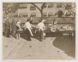 Thumbnail image of item number 1 in: '[Workers at the Inaugural Barbecue]'.