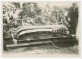 Thumbnail image of item number 1 in: '[Locklear's coffin]'.