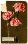 Postcard: [Carnations]