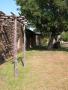 Thumbnail image of item number 1 in: 'Grounds and ruins at Mission San José'.