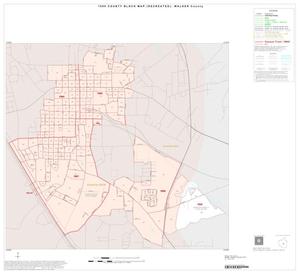 1990 Census County Block Map (Recreated): Walker County, Inset D01