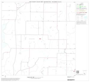 1990 Census County Block Map (Recreated): Coleman County, Block 18