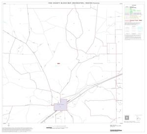 1990 Census County Block Map (Recreated): Reeves County, Block 10