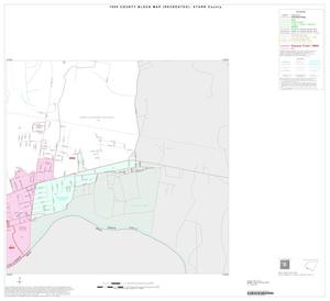 1990 Census County Block Map (Recreated): Starr County, Inset A06
