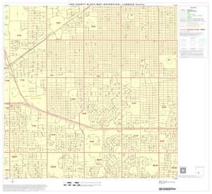1990 Census County Block Map (Recreated): Lubbock County, Block 31