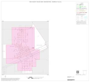 1990 Census County Block Map (Recreated): Runnels County, Inset E01