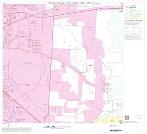 1990 Census County Block Map (Recreated): Denton County, Block 29
