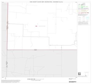 Primary view of object titled '1990 Census County Block Map (Recreated): Cochran County, Block 10'.