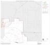Thumbnail image of item number 1 in: '1990 Census County Block Map (Recreated): Jim Hogg County, Block 2'.