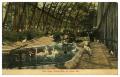 Thumbnail image of item number 1 in: 'Bird Cage, Forest Park, St. Louis, Mo.'.
