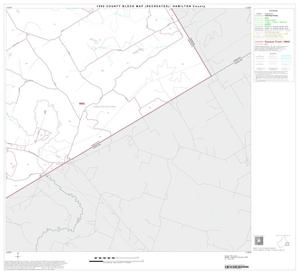 Primary view of object titled '1990 Census County Block Map (Recreated): Hamilton County, Block 11'.