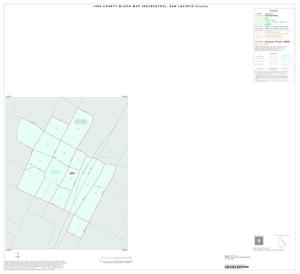Primary view of object titled '1990 Census County Block Map (Recreated): San Jacinto County, Inset C01'.