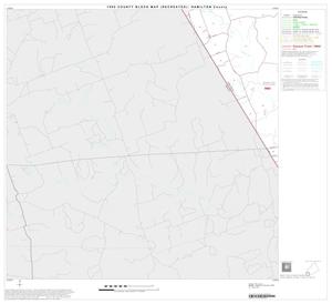 Primary view of object titled '1990 Census County Block Map (Recreated): Hamilton County, Block 12'.