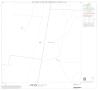 Primary view of 1990 Census County Block Map (Recreated): Hidalgo County, Block 10