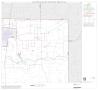 Map: 1990 Census County Block Map (Recreated): Brooks County, Block 3