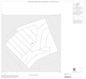 Primary view of object titled '1990 Census County Block Map (Recreated): Live Oak County, Inset D01'.
