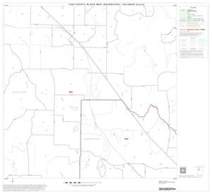1990 Census County Block Map (Recreated): Coleman County, Block 6