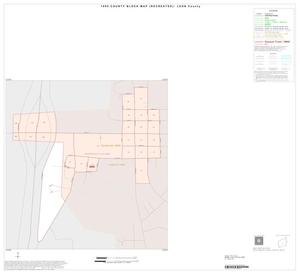 1990 Census County Block Map (Recreated): Leon County, Inset D01