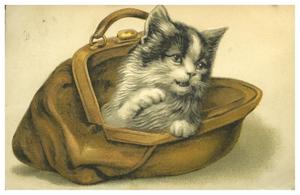 [Fluffy Cat in a Handbag]
