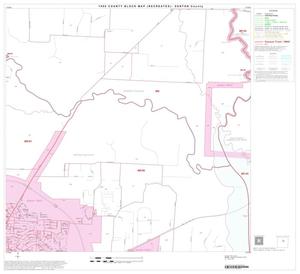 1990 Census County Block Map (Recreated): Denton County, Block 21