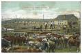 Thumbnail image of item number 1 in: 'Union Stock Yards, Chicago, Ill.'.