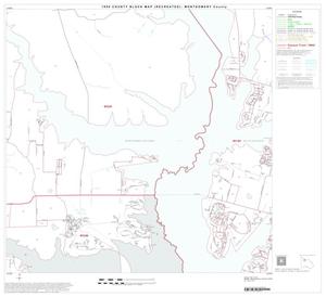 1990 Census County Block Map (Recreated): Montgomery County, Block 11