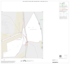 Primary view of object titled '1990 Census County Block Map (Recreated): Grayson County, Inset B01'.