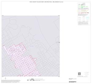 1990 Census County Block Map (Recreated): McLennan County, Inset D01