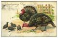 Primary view of [Thanksgiving Day Postcard]
