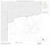 Map: 1990 Census County Block Map (Recreated): Kenedy County, Block 1