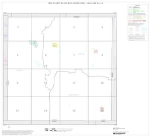 Primary view of object titled '1990 Census County Block Map (Recreated): Callahan County, Index'.