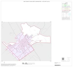 1990 Census County Block Map (Recreated): Live Oak County, Inset C01